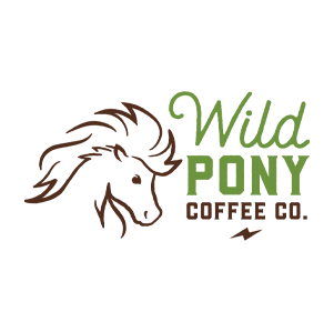 Wild Pony